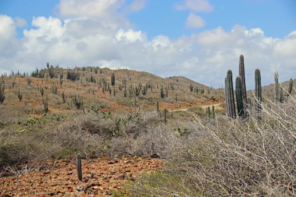 Arikok National Park, 15.03.2026 13:10