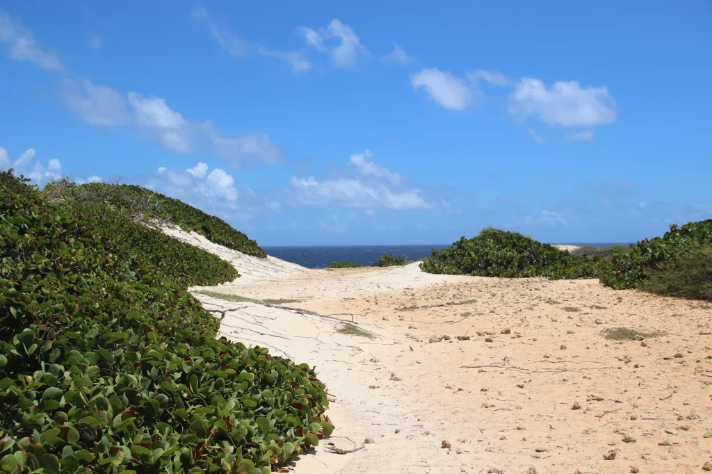 Arikok National Park, 15.03.2026 13:22