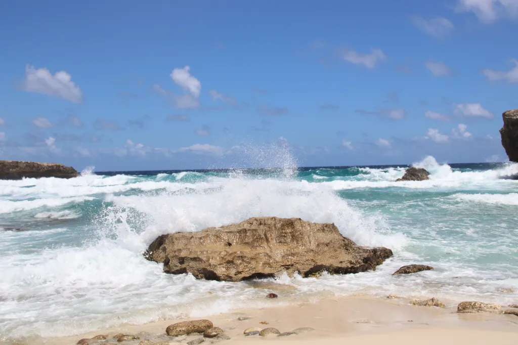 One Happy Island, 15.03.2026 13:38