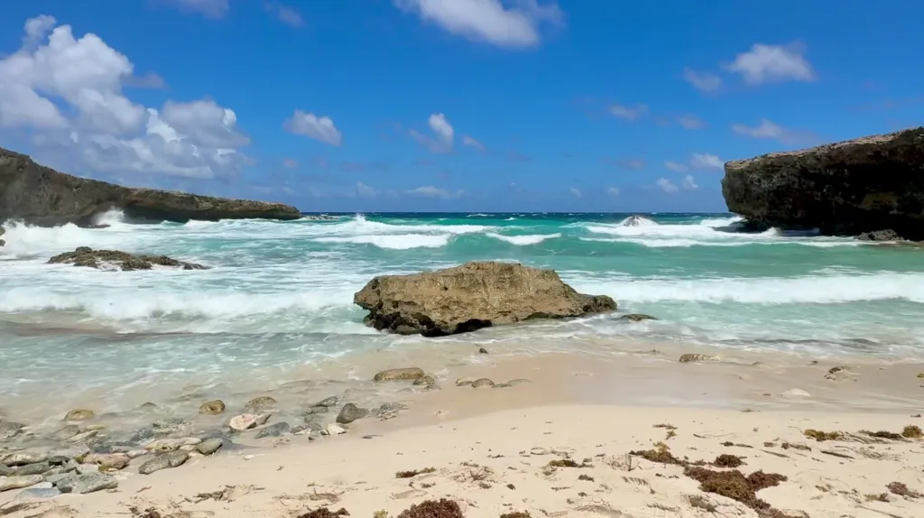 Arikok National Park, 15.03.2026 13:37