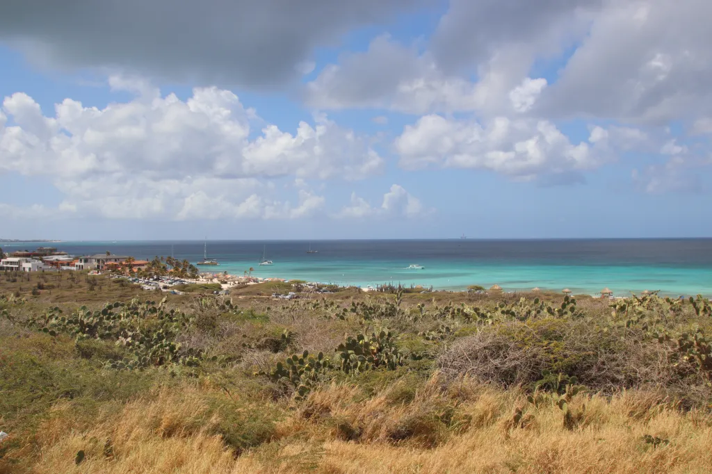 California Lighthouse, 14.03.2026 10:16