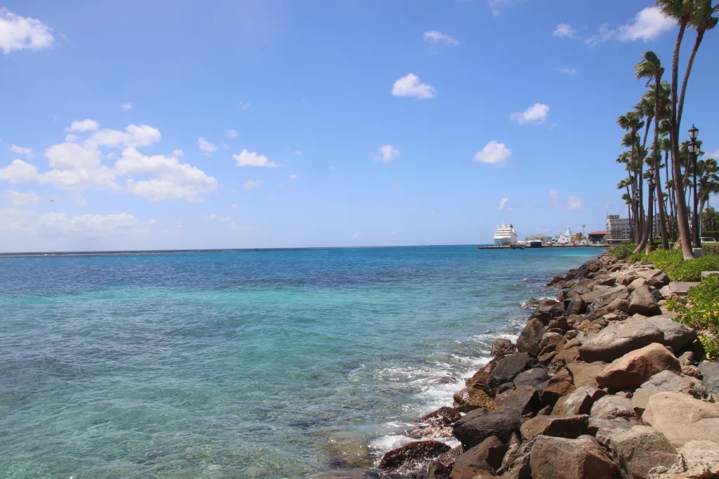 Renaissance Marketplace, 15.03.2026 15:15