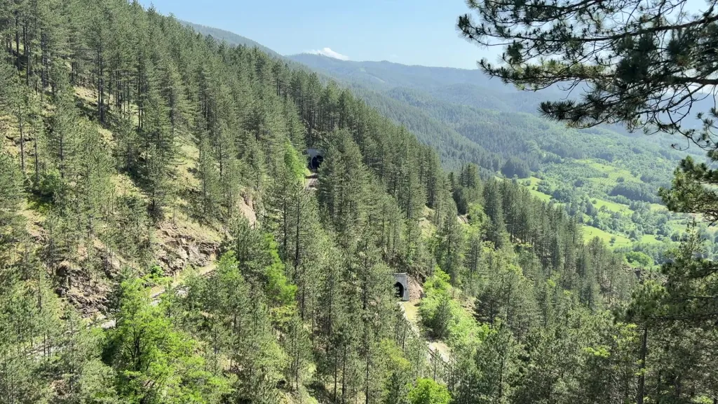 Mokra Gora, 08.06.2025 16:49