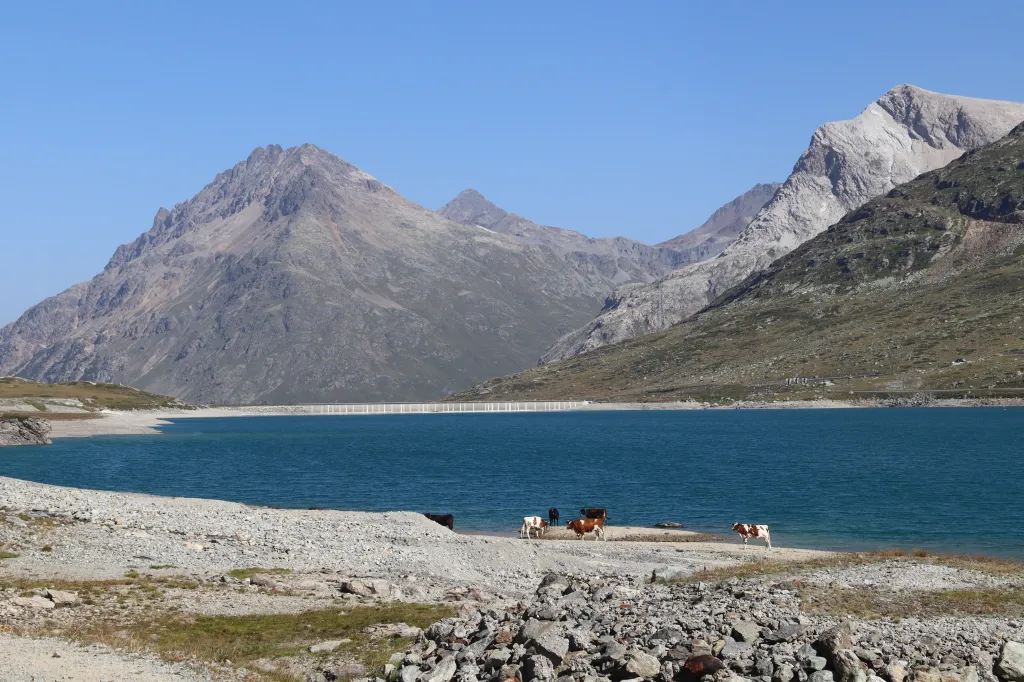 Engadin 2025, 10.08.2025 12:09