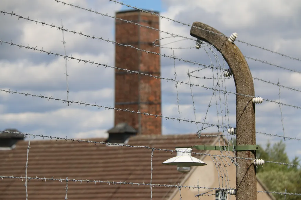 Buchenwald, 09.08.2023 15:01