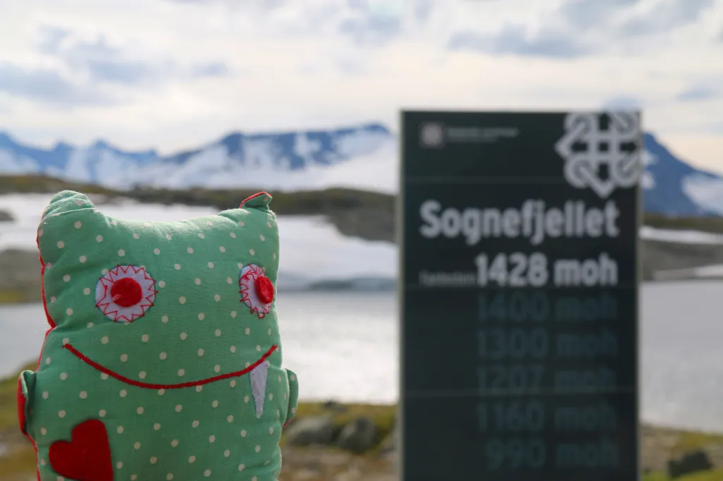 Teil 11: Sognefjellet, 30.07.2022 16:00