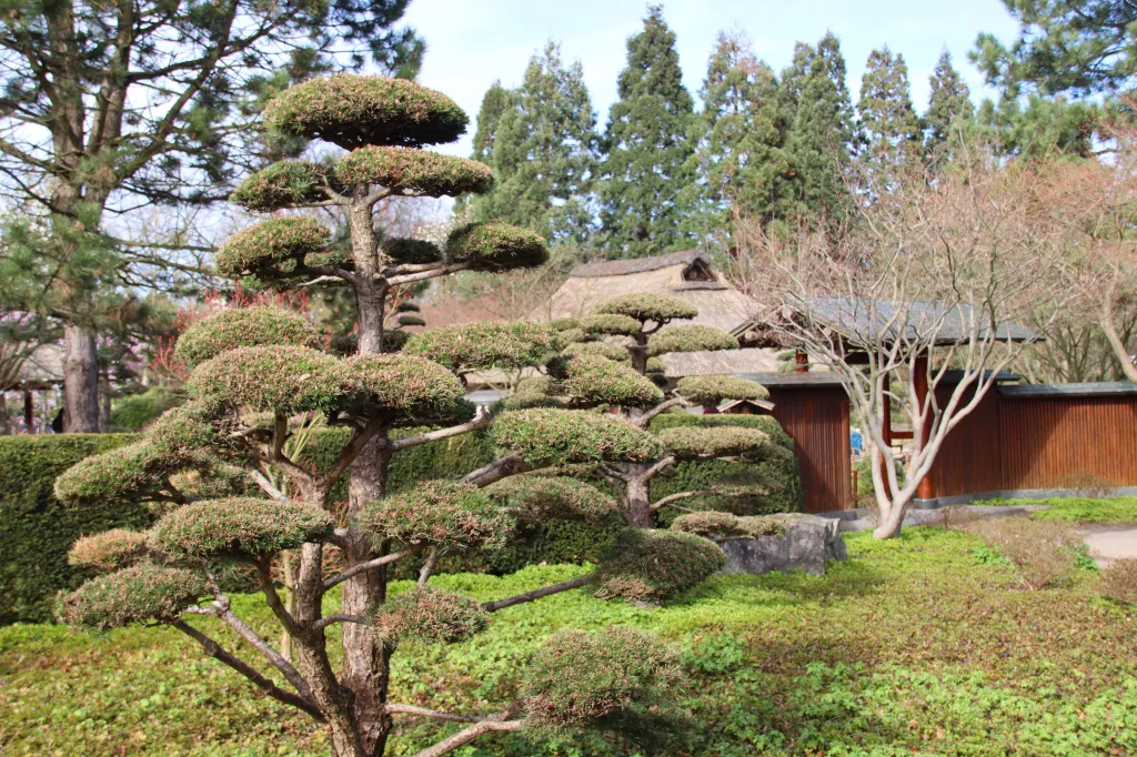 Planten un Blomen, 03.04.2026 18:04