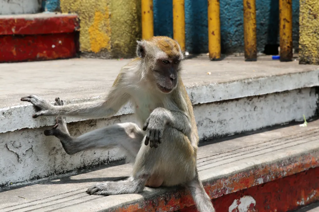 Batu Caves, 31.03.2016 15:47
