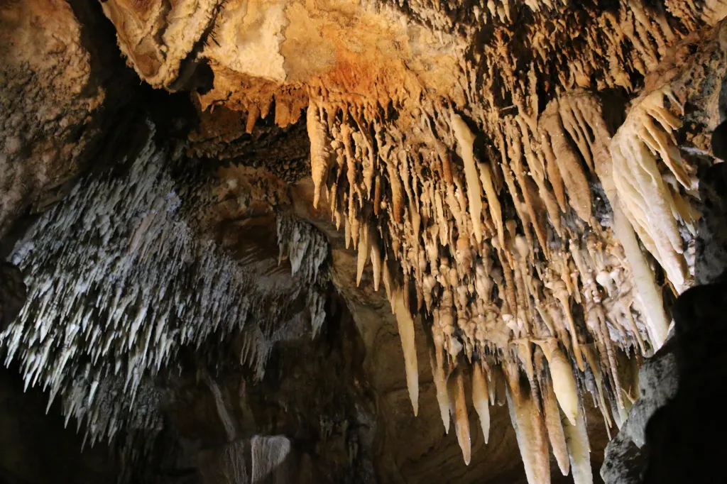 Buchan Caves, 21.03.2016 12:33