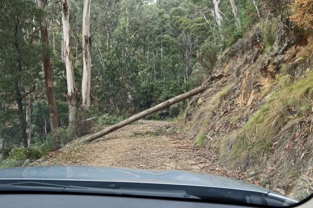 Snowy Mountains Highway, 20.03.2016 16:04