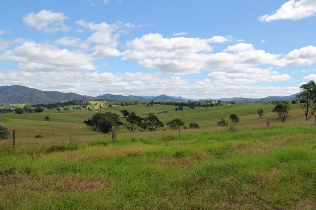 Wadbilliga Road drive, 19.03.2016 14:12