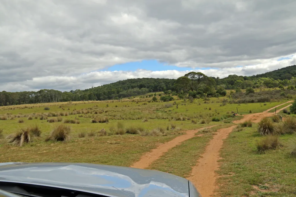 Wadbilliga Road drive, 19.03.2016 16:04