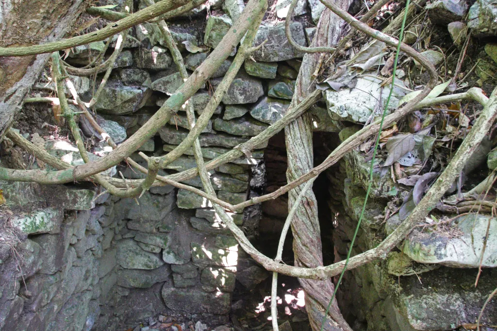 Ruinas Palenque, 07.03.2026 11:24