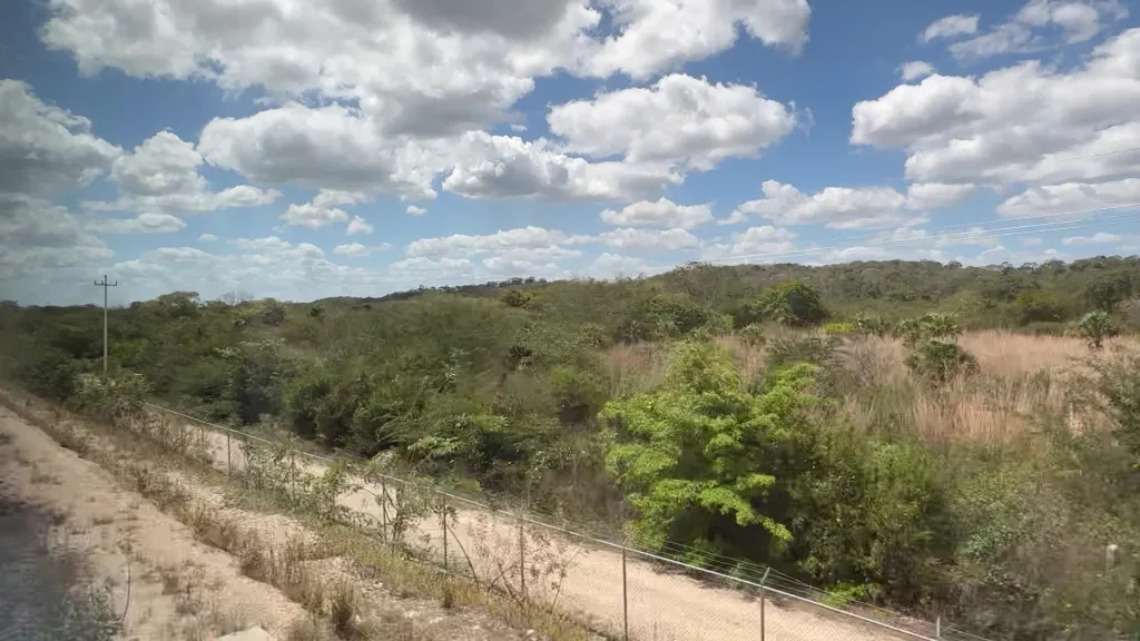 Tren Maya, 08.03.2026 13:18