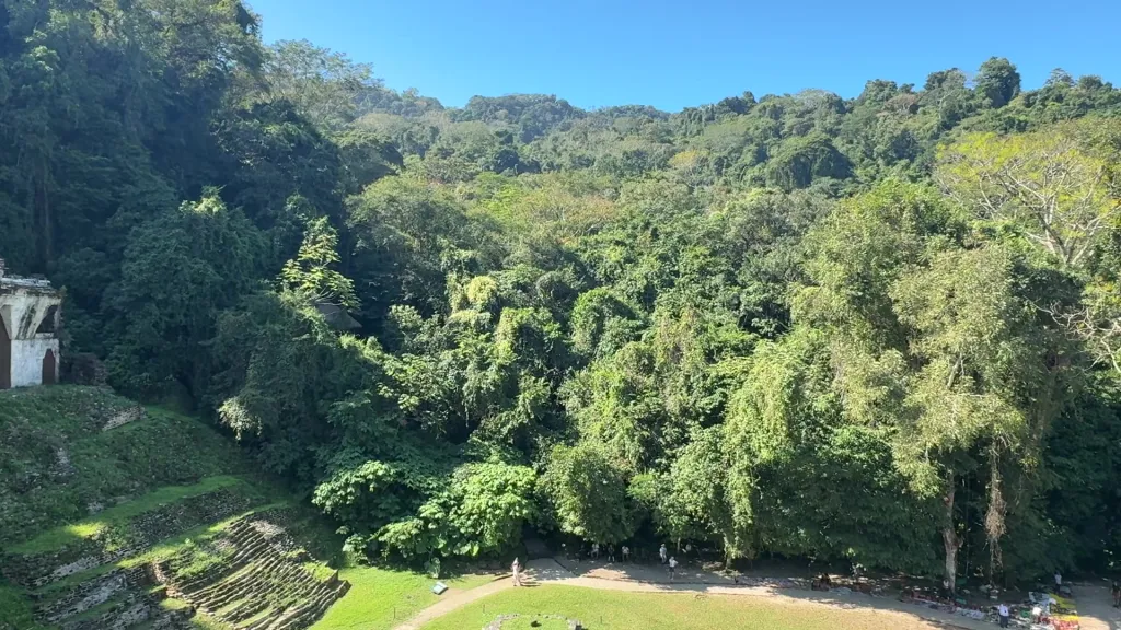 Ruinas Palenque, 07.03.2026 10:49