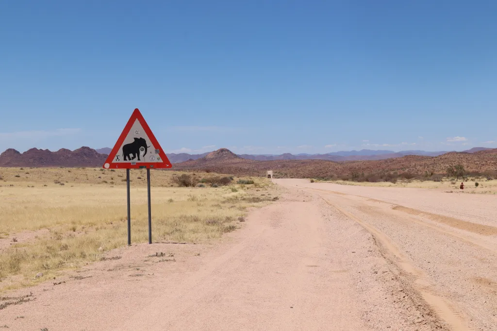 Achtung Elefanten!, 09.11.2025 15:06