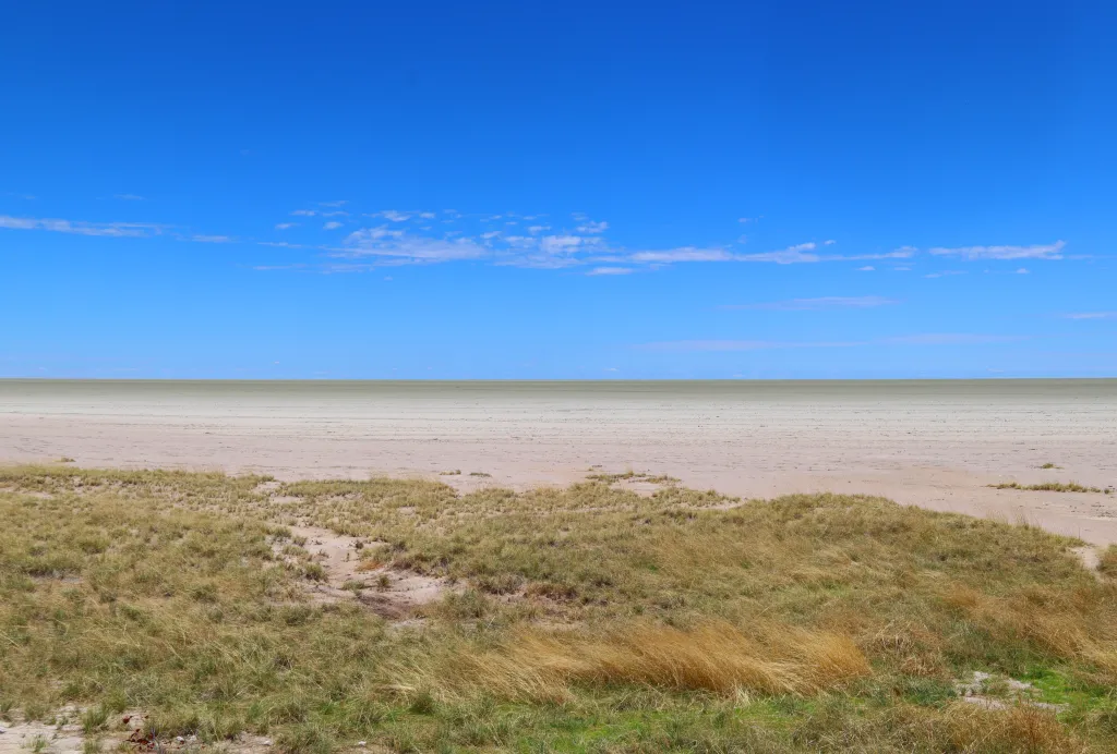 Etosha-Safari, 14.11.2025 12:47