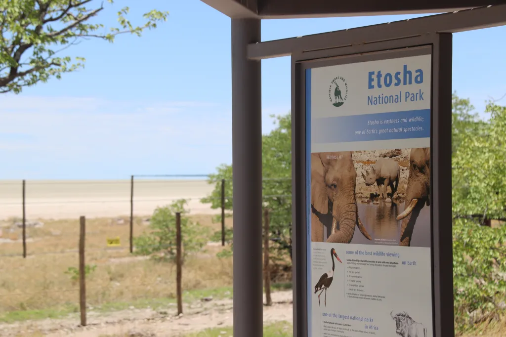 Etosha-Safari, 14.11.2025 13:25