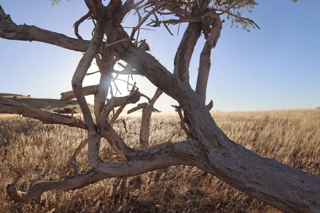 Abendsonne und Tafelberge, 10.11.2025 19:26