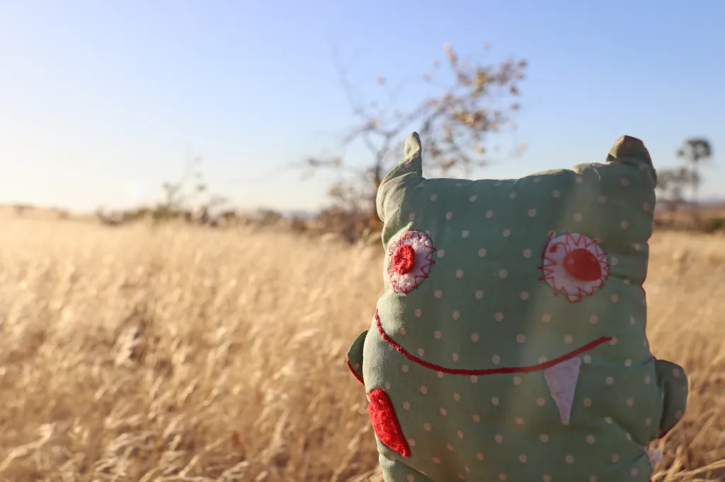 Abendsonne und Tafelberge, 10.11.2025 19:32