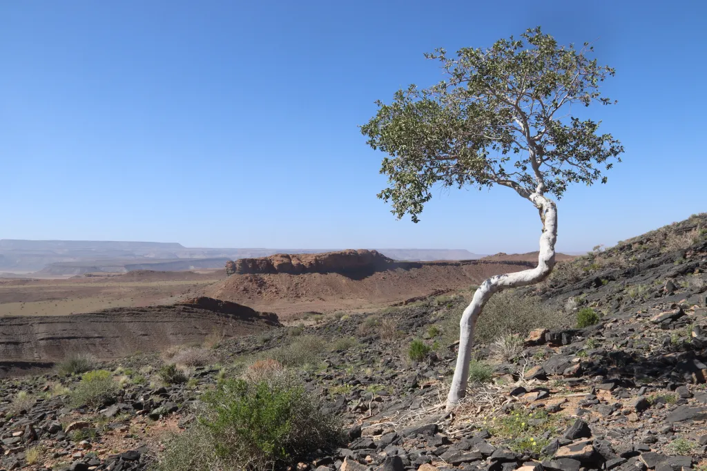 Fish River Canyon, 31.10.2025 10:36