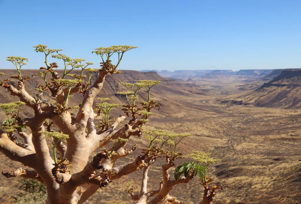 Grootberg, 11.11.2025 17:37