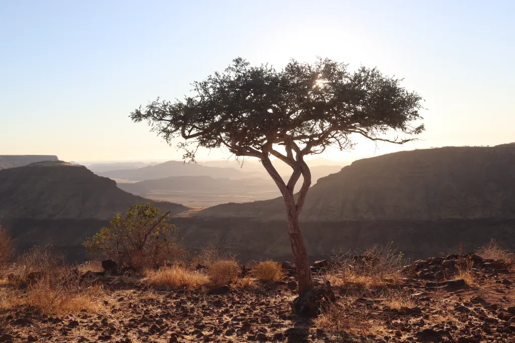 Grootberg, 11.11.2025 19:46