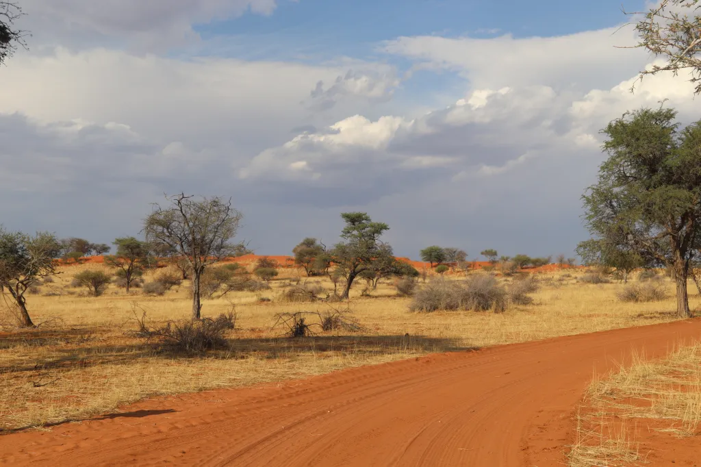 Jansen Kalahari Guest Farm, 28.10.2025 17:56