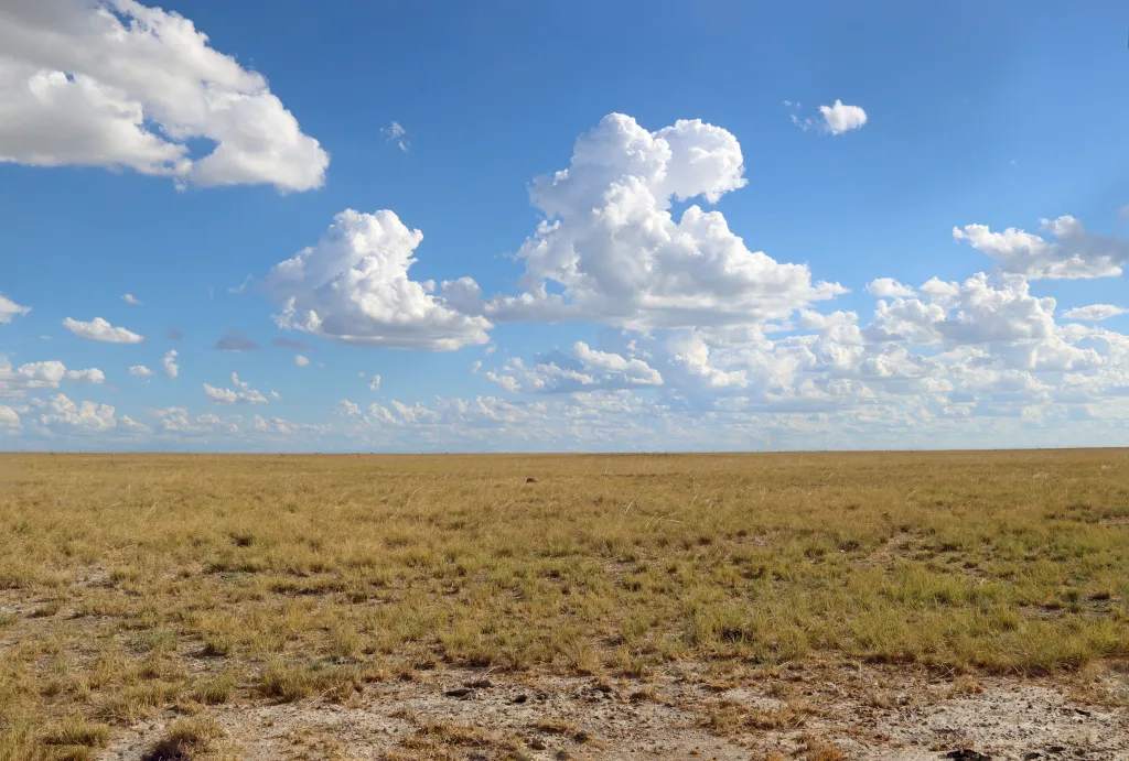 King Nehale Lodge, 14.11.2025 17:46