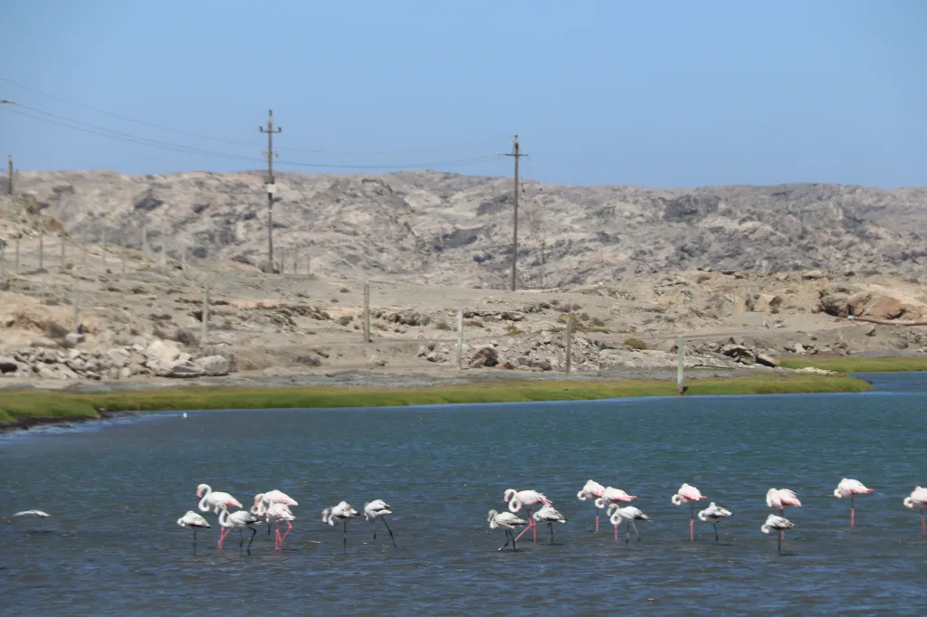 Lüderitz-Halbinsel, 02.11.2025 11:37