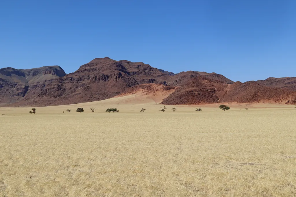 Nubibberge, 03.11.2025 10:40