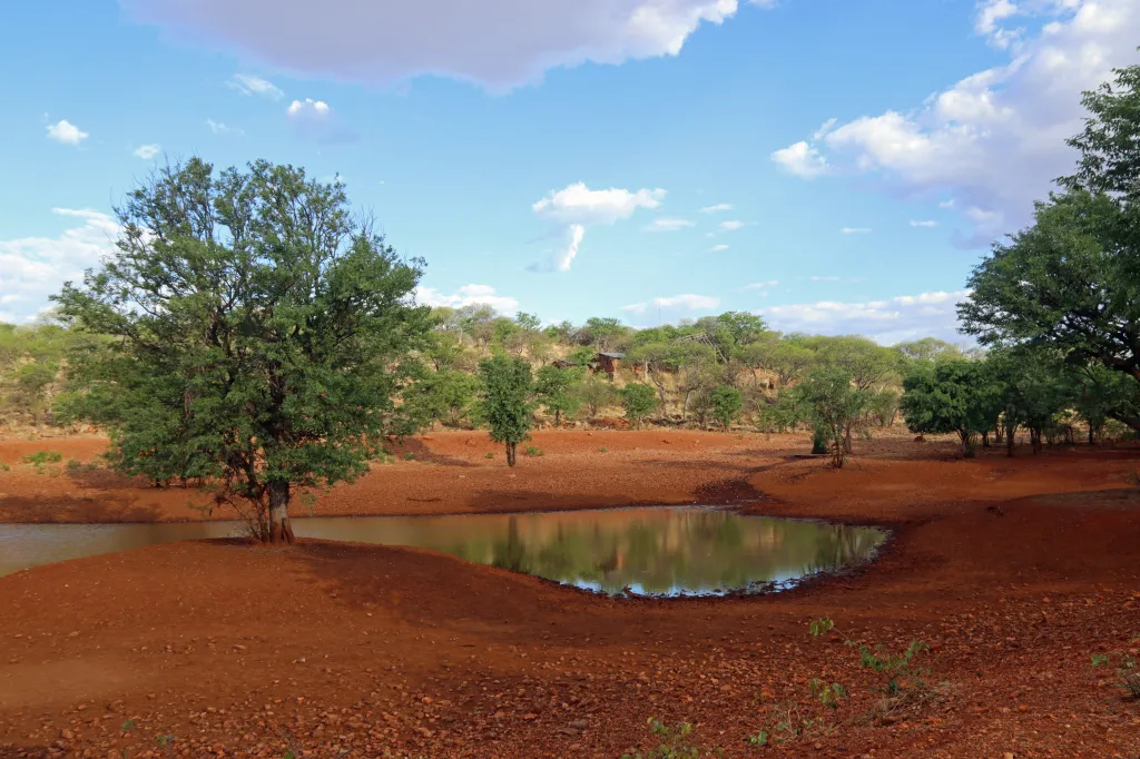 Okutala Game Drive, 12.11.2025 18:55