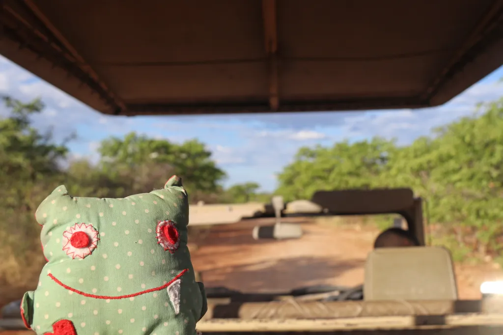 Okutala Game Drive, 12.11.2025 19:00