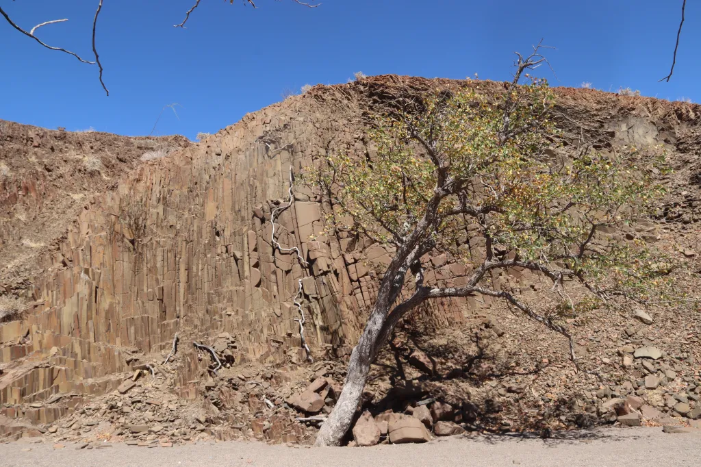 Organ Pipes, 10.11.2025 11:20