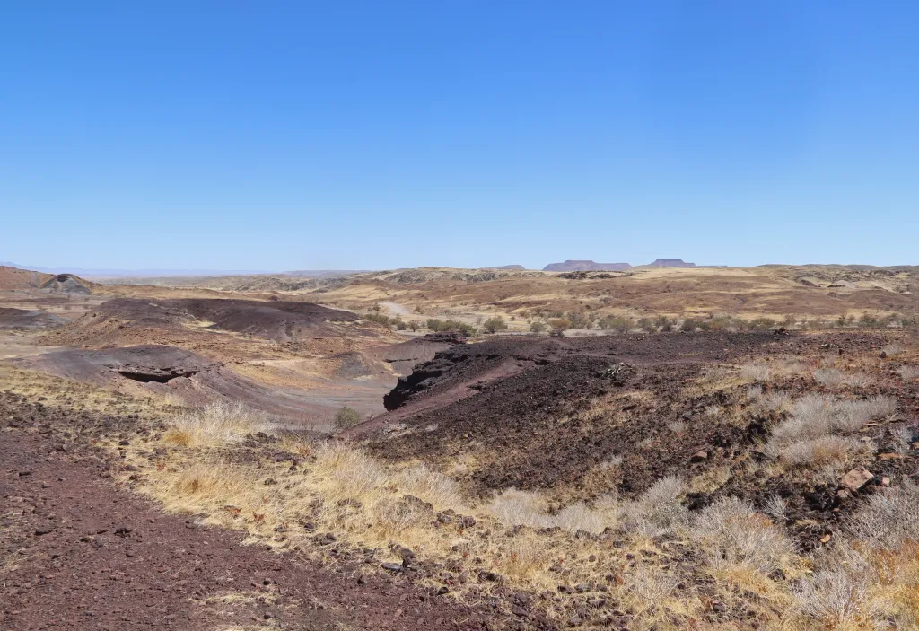 Organ Pipes, 10.11.2025 11:45