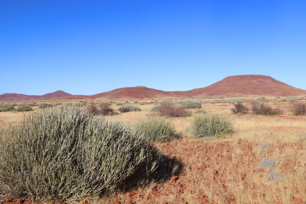 Palmwag, 11.11.2025 09:17