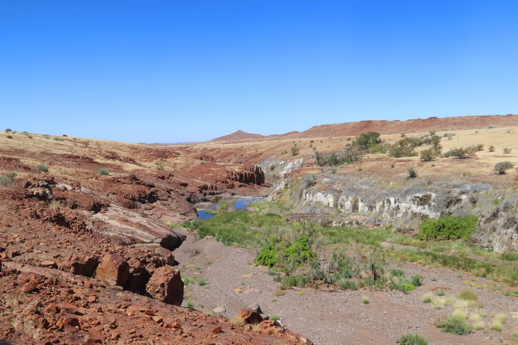 Palmwag, 11.11.2025 11:36