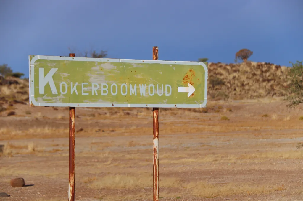 Quivertree forest, 29.10.2025 18:50