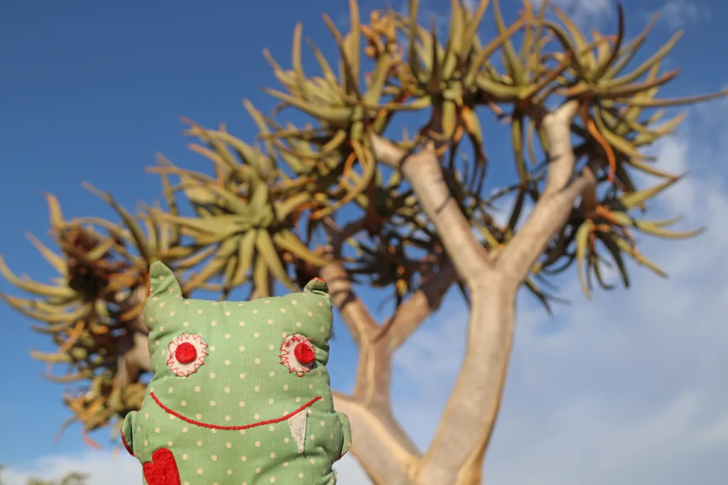 Quivertree forest, 29.10.2025 18:56