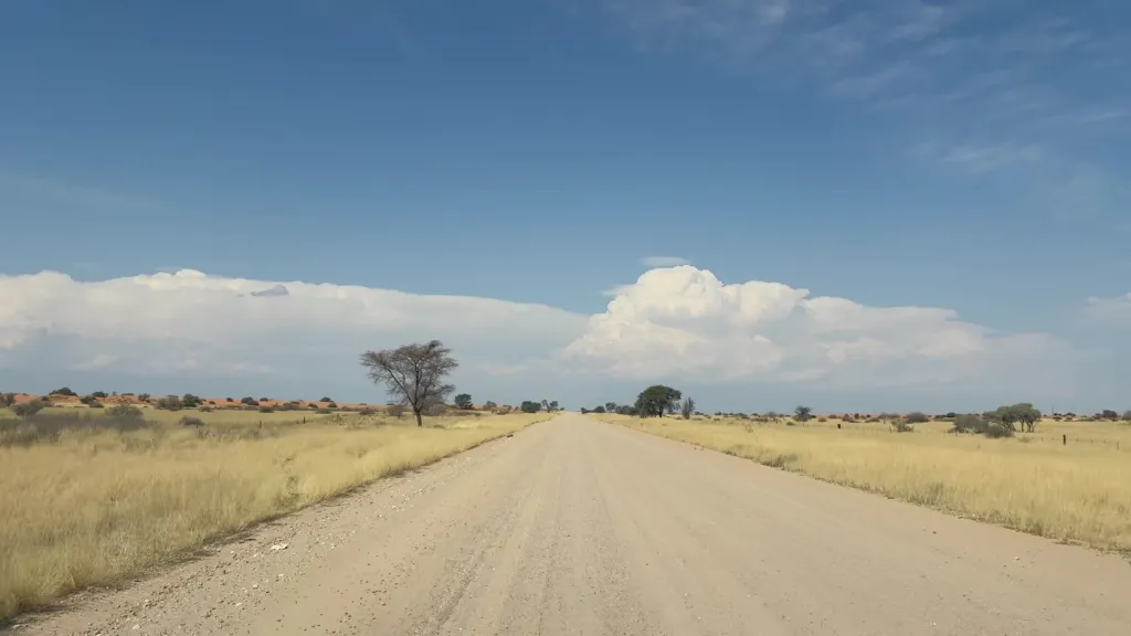 Route C21, 28.10.2025 16:35