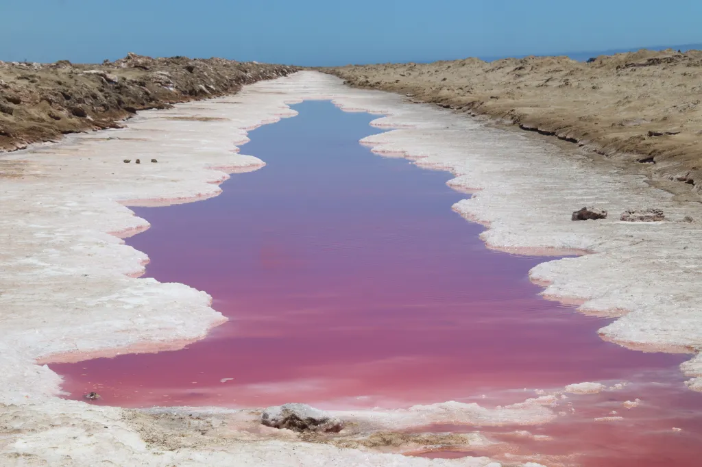 Pink Lake, 07.11.2025 14:19