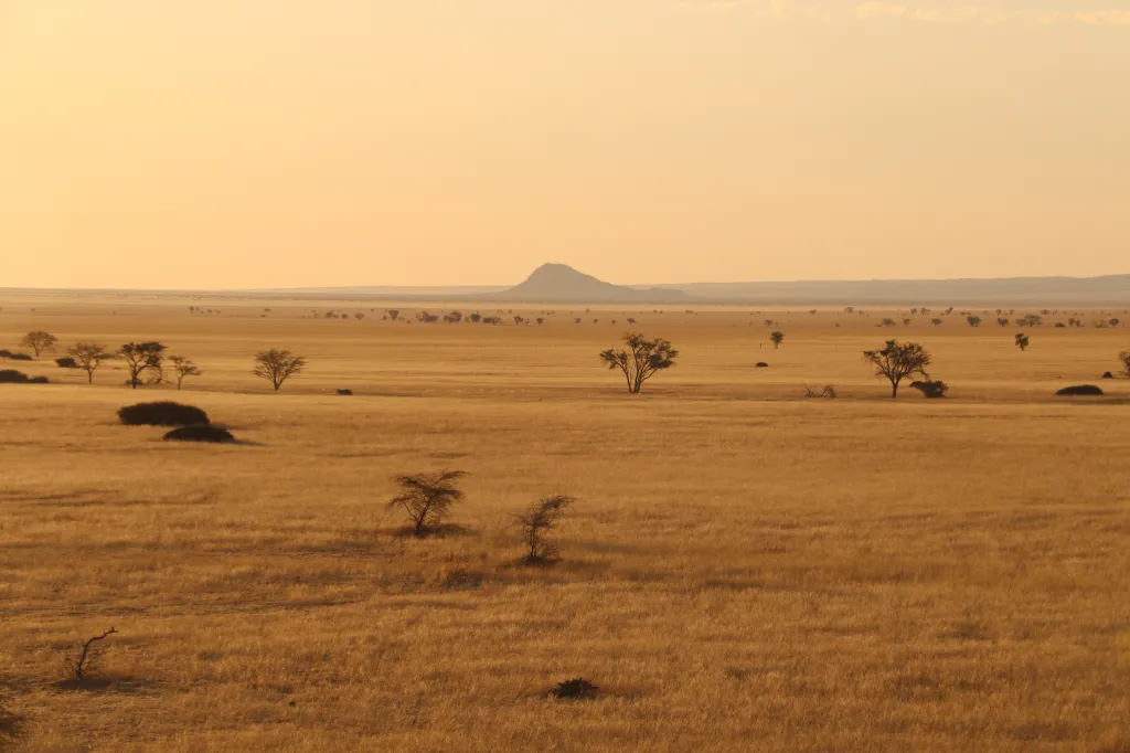 Solitaire, 04.11.2025 19:50