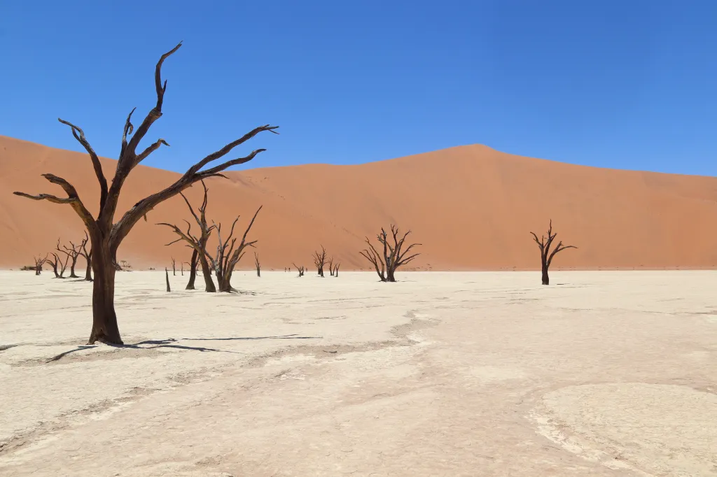 Sossusvlei, 03.11.2025 13:10