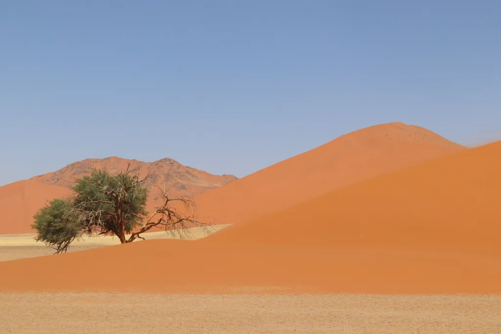 Sossusvlei, 03.11.2025 15:19