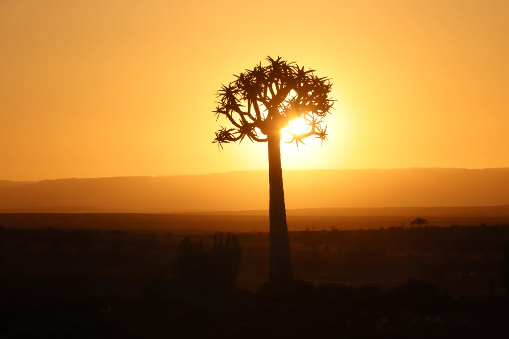 Namibia, Land of the Brave, 30.10.2025 19:58