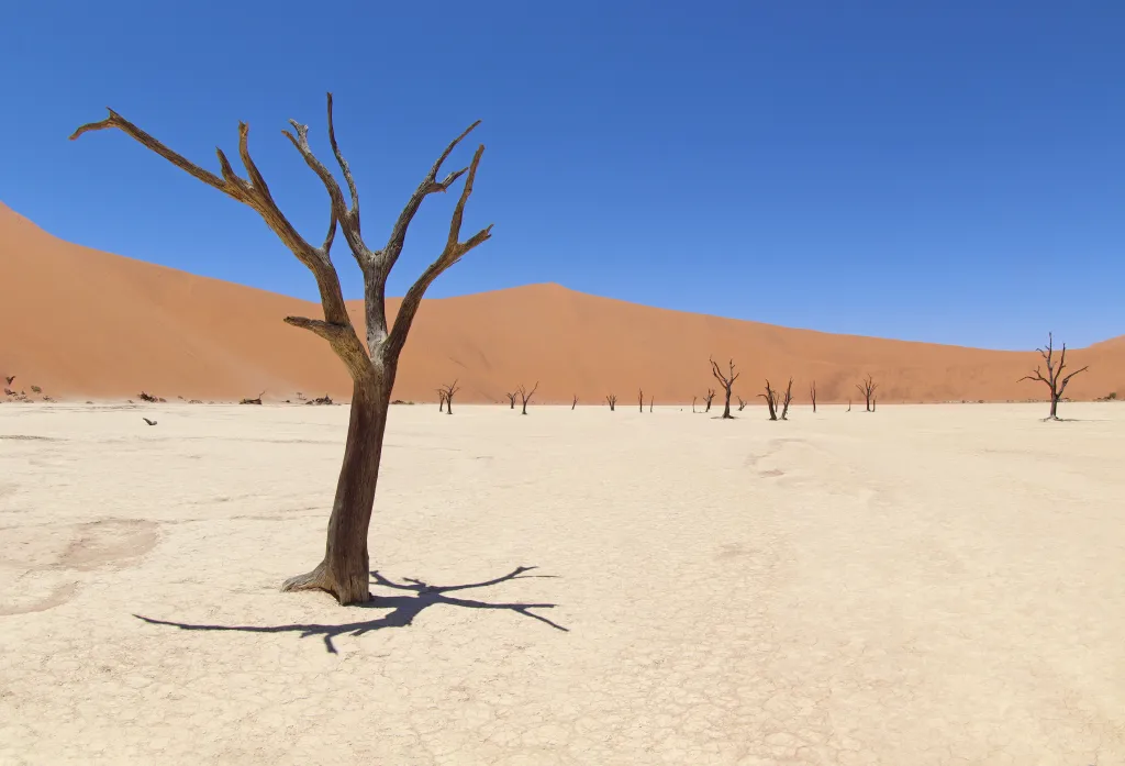 Namibia, Land of the Brave, 03.11.2025 13:24