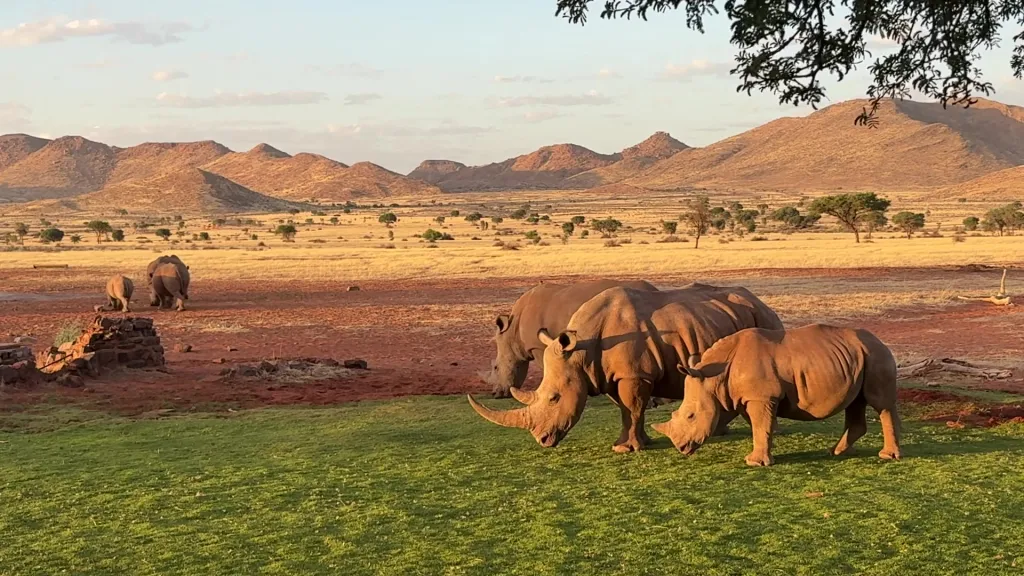 We Kebi Safari Lodge, 02.11.2025 19:52