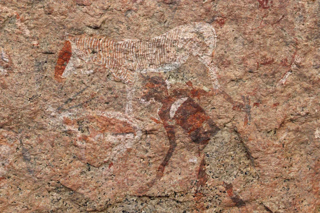 White Lady, 09.11.2025 13:40