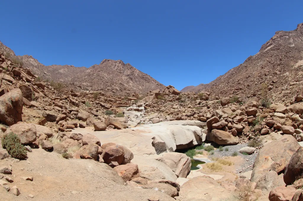 White Lady, 09.11.2025 13:44