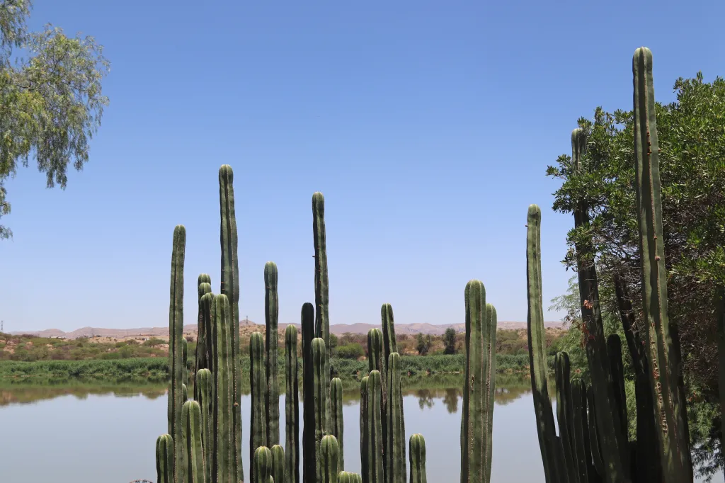 Erste Eindrücke von Windhoek, 26.10.2025 13:48